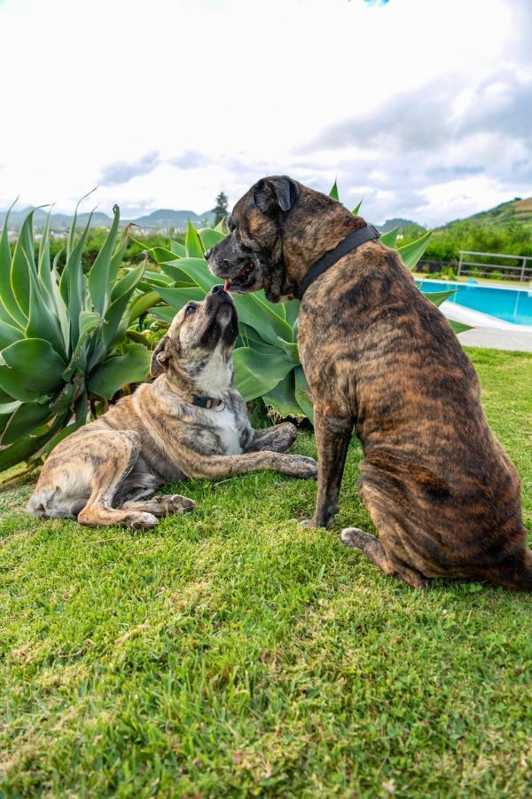 Casa Da Bela Vista Villa ลาโกอา ภายนอก รูปภาพ